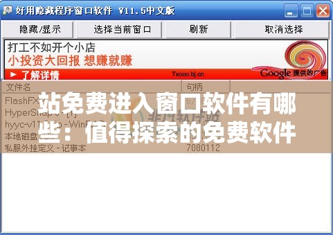 站免费进入窗口软件有哪些：值得探索的免费软件资源汇总