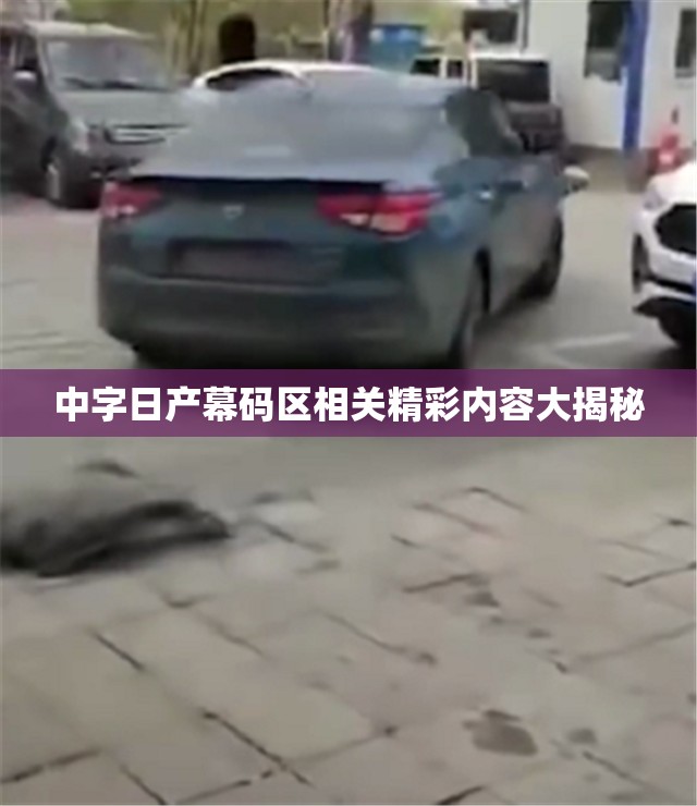 中字日产幕码区相关精彩内容大揭秘