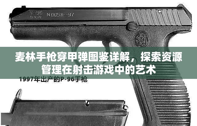 麦林手枪穿甲弹图鉴详解，探索资源管理在射击游戏中的艺术