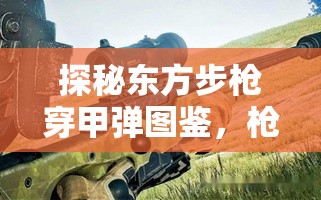 探秘东方步枪穿甲弹图鉴，枪林弹雨中的极致穿透力王者解析