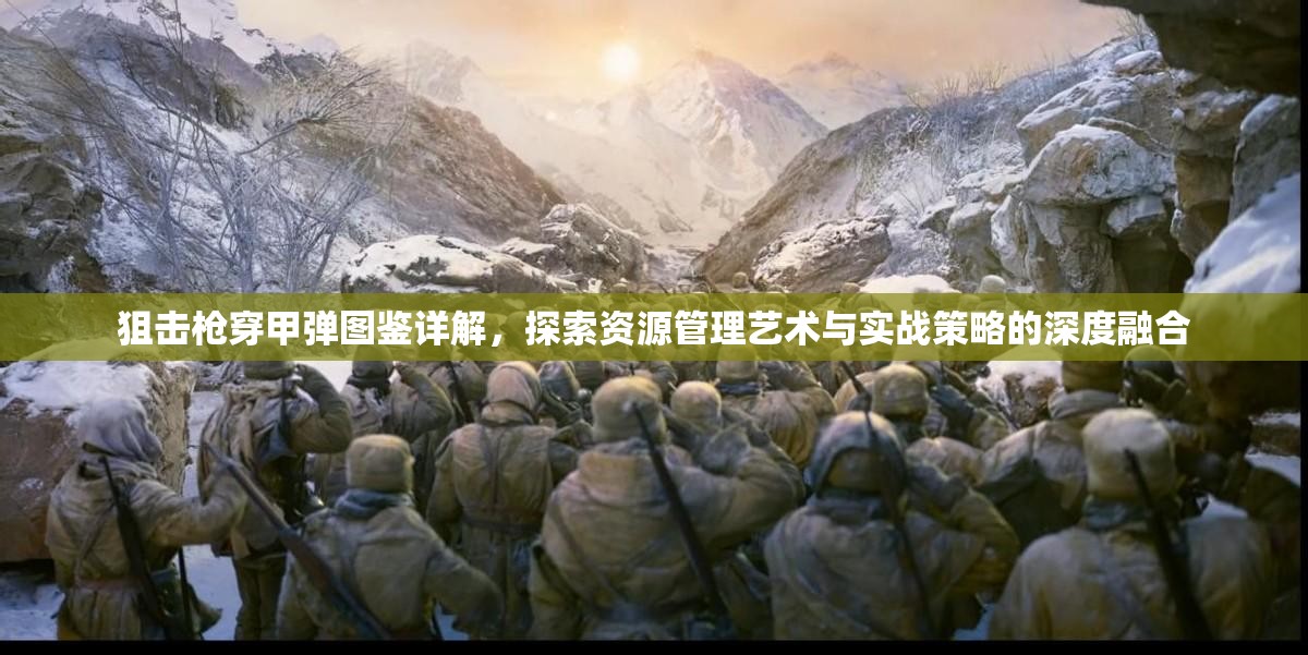 狙击枪穿甲弹图鉴详解，探索资源管理艺术与实战策略的深度融合