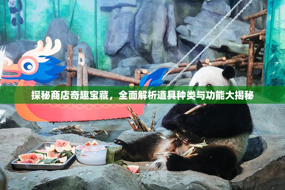 探秘商店奇趣宝藏，全面解析道具种类与功能大揭秘