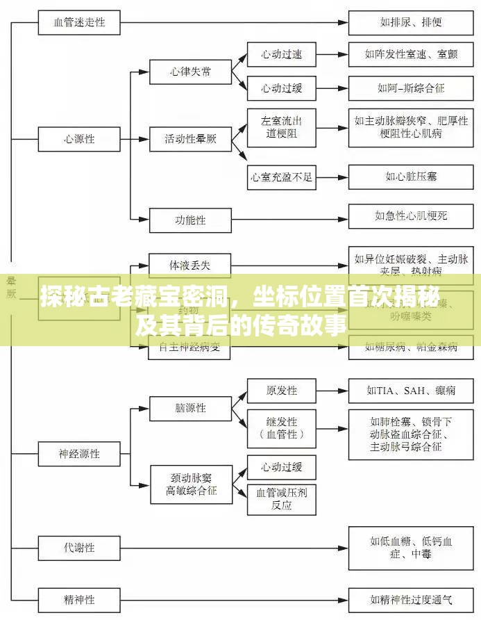 探秘古老藏宝密洞，坐标位置首次揭秘及其背后的传奇故事
