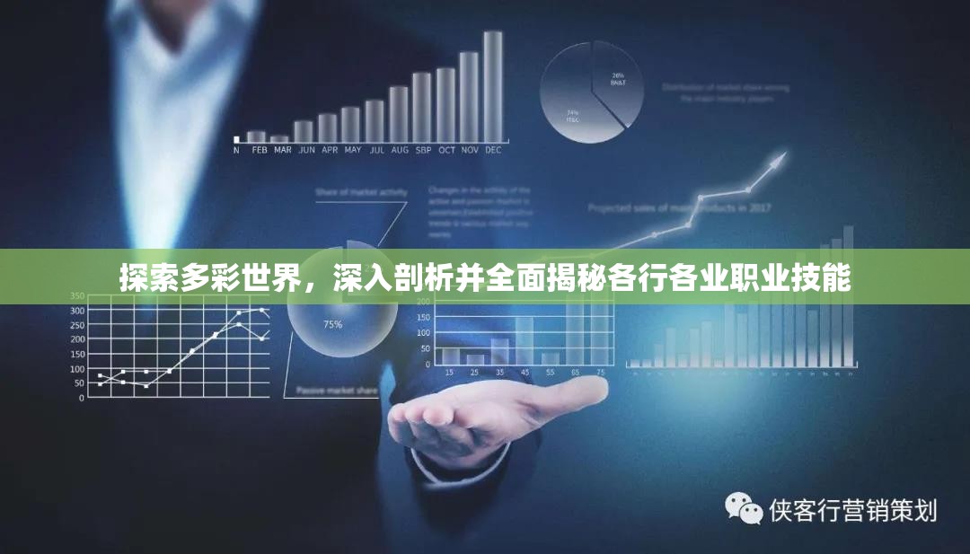 探索多彩世界，深入剖析并全面揭秘各行各业职业技能
