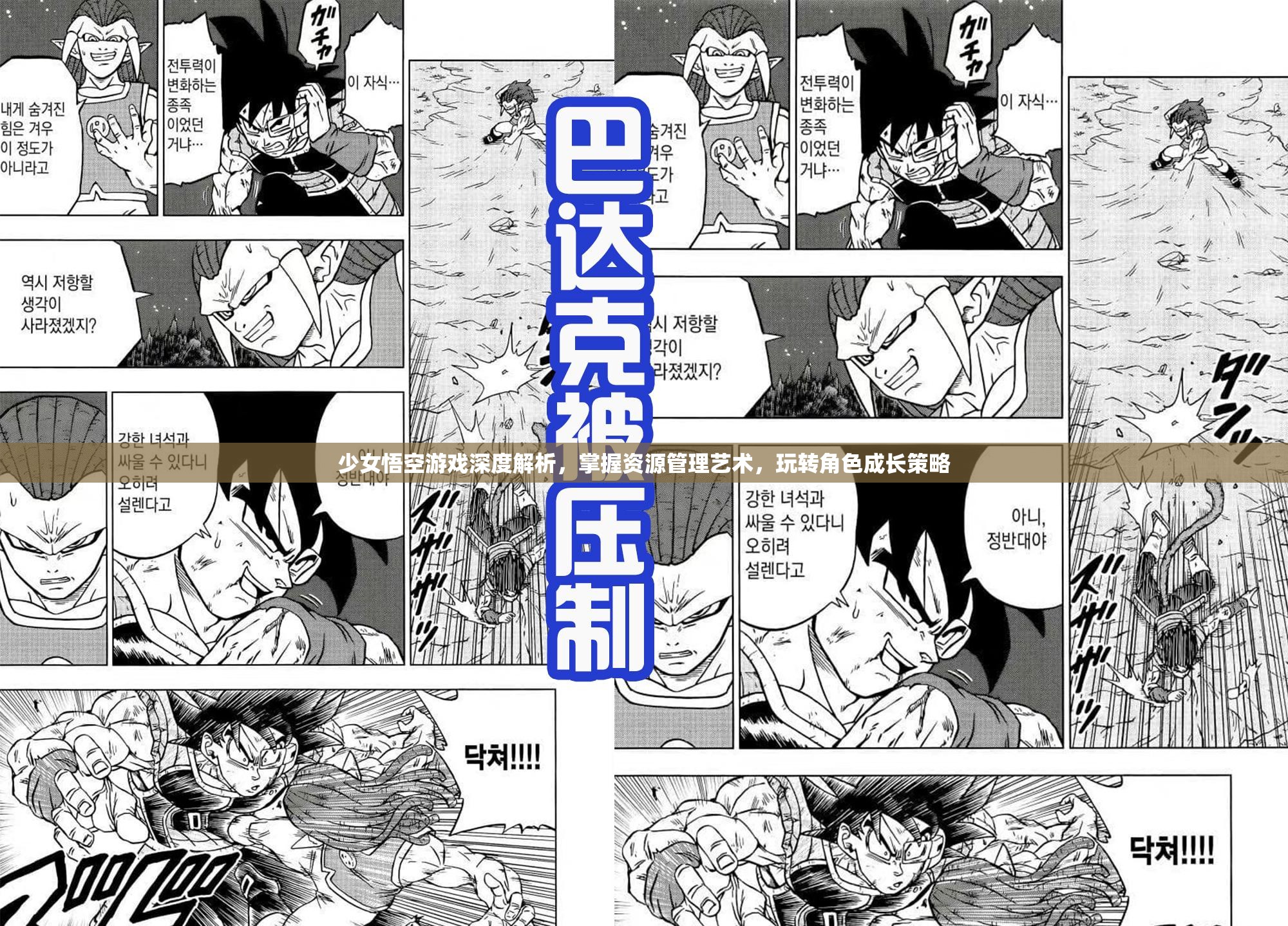 少女悟空游戏深度解析，掌握资源管理艺术，玩转角色成长策略