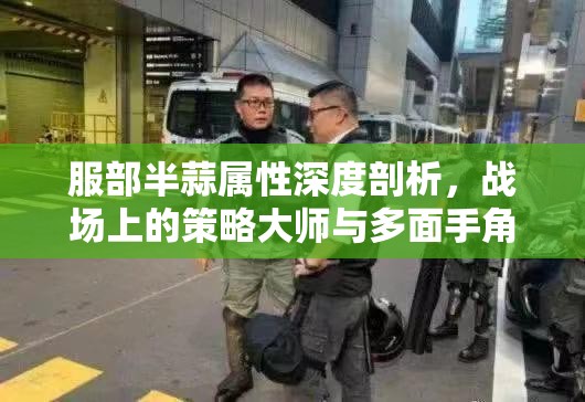 服部半蒜属性深度剖析，战场上的策略大师与多面手角色解析