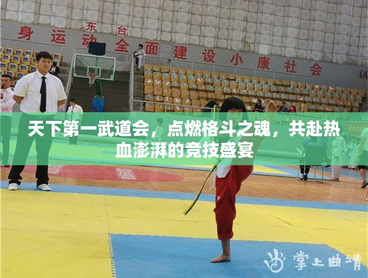 天下第一武道会，点燃格斗之魂，共赴热血澎湃的竞技盛宴