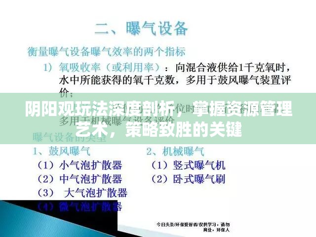 阴阳观玩法深度剖析，掌握资源管理艺术，策略致胜的关键