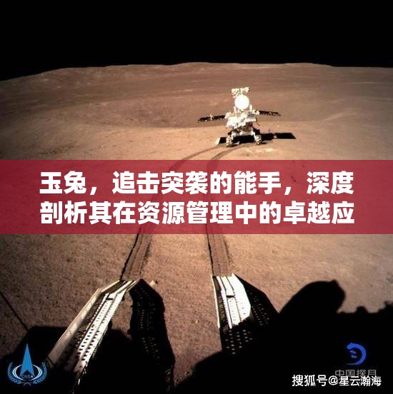 玉兔，追击突袭的能手，深度剖析其在资源管理中的卓越应用与影响