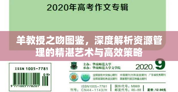 羊教授之吻图鉴，深度解析资源管理的精湛艺术与高效策略