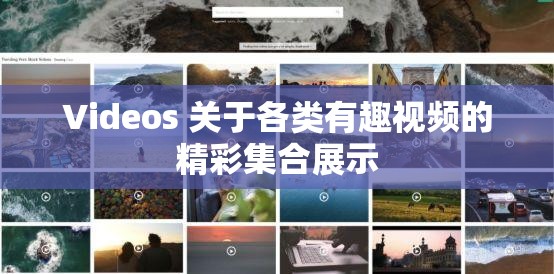 Videos 关于各类有趣视频的精彩集合展示