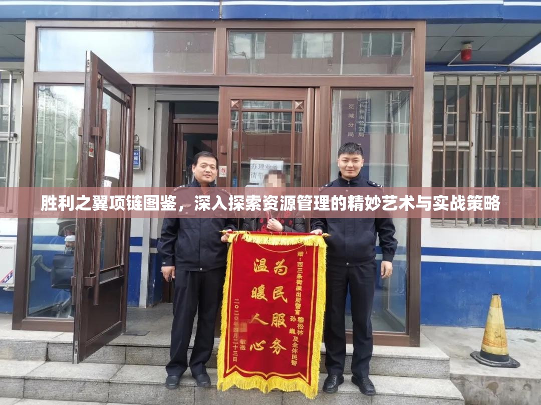 胜利之翼项链图鉴，深入探索资源管理的精妙艺术与实战策略