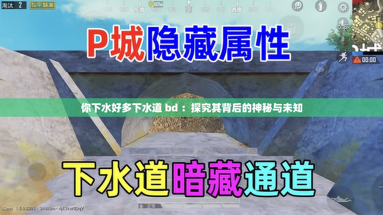 你下水好多下水道 bd ：探究其背后的神秘与未知