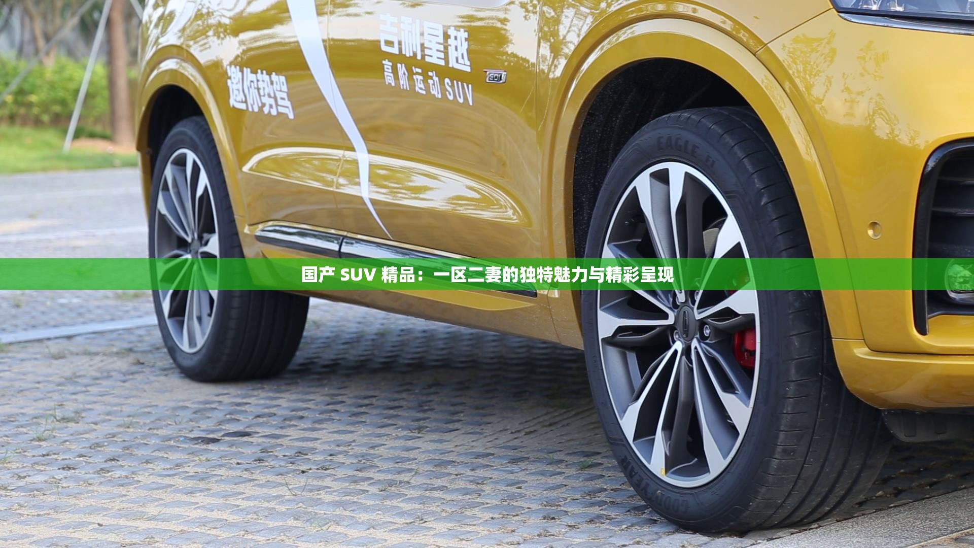 国产 SUV 精品：一区二妻的独特魅力与精彩呈现