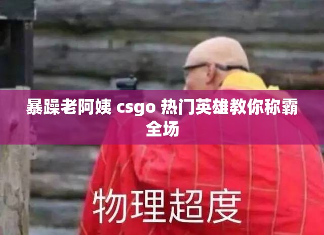 暴躁老阿姨 csgo 热门英雄教你称霸全场