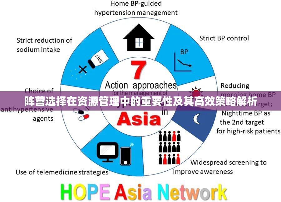 阵营选择在资源管理中的重要性及其高效策略解析