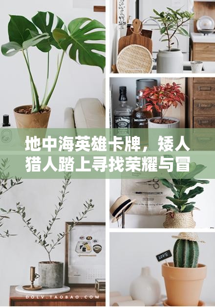 地中海英雄卡牌，矮人猎人踏上寻找荣耀与冒险的非凡之旅