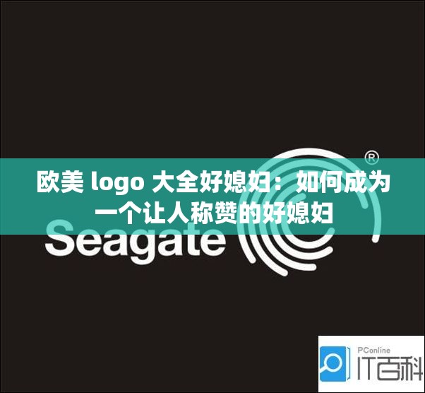 欧美 logo 大全好媳妇：如何成为一个让人称赞的好媳妇