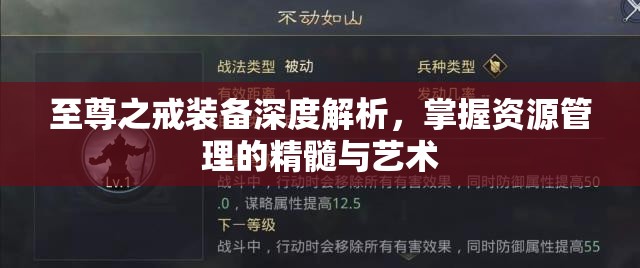 至尊之戒装备深度解析，掌握资源管理的精髓与艺术