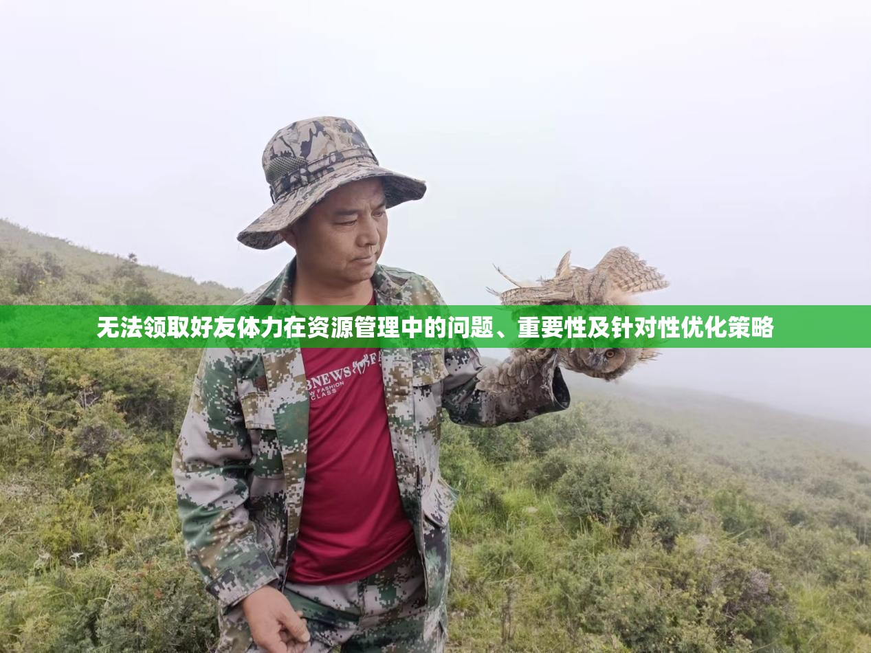 无法领取好友体力在资源管理中的问题、重要性及针对性优化策略