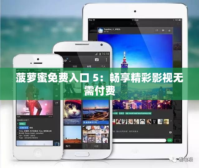 菠萝蜜免费入口 5：畅享精彩影视无需付费