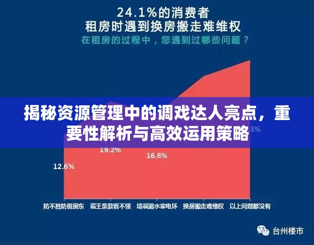 揭秘资源管理中的调戏达人亮点，重要性解析与高效运用策略
