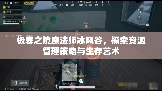 极寒之境魔法师冰风谷，探索资源管理策略与生存艺术