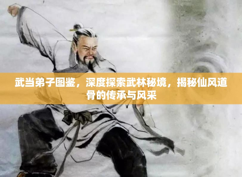 武当弟子图鉴，深度探索武林秘境，揭秘仙风道骨的传承与风采