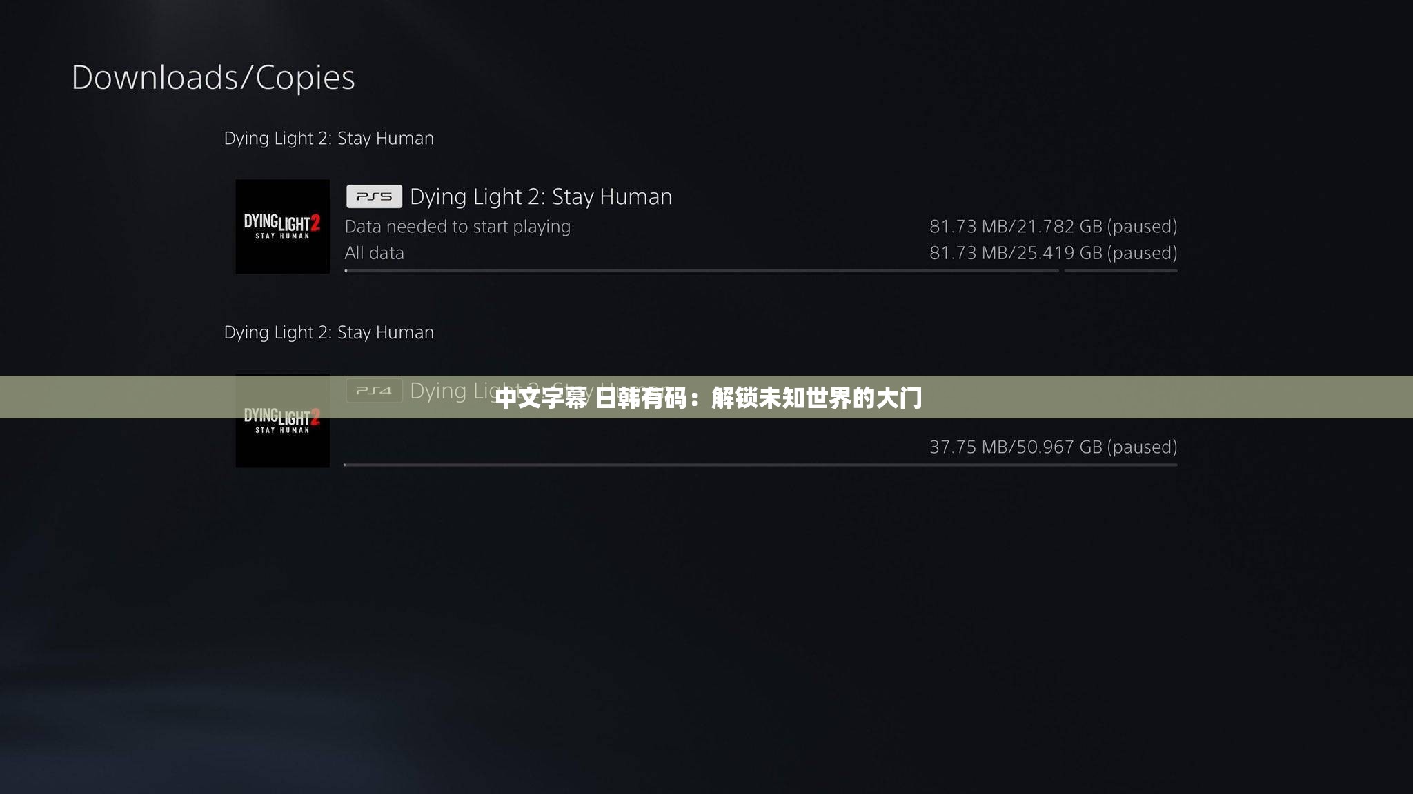 中文字幕 日韩有码：解锁未知世界的大门