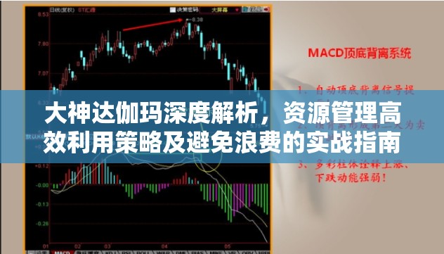 大神达伽玛深度解析，资源管理高效利用策略及避免浪费的实战指南