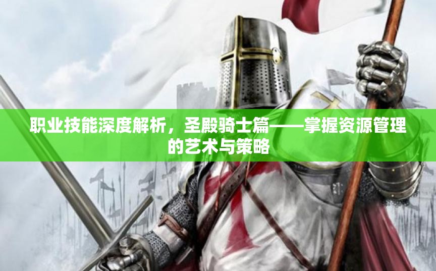 职业技能深度解析，圣殿骑士篇——掌握资源管理的艺术与策略