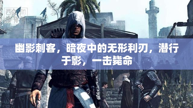 幽影刺客，暗夜中的无形利刃，潜行于影，一击毙命