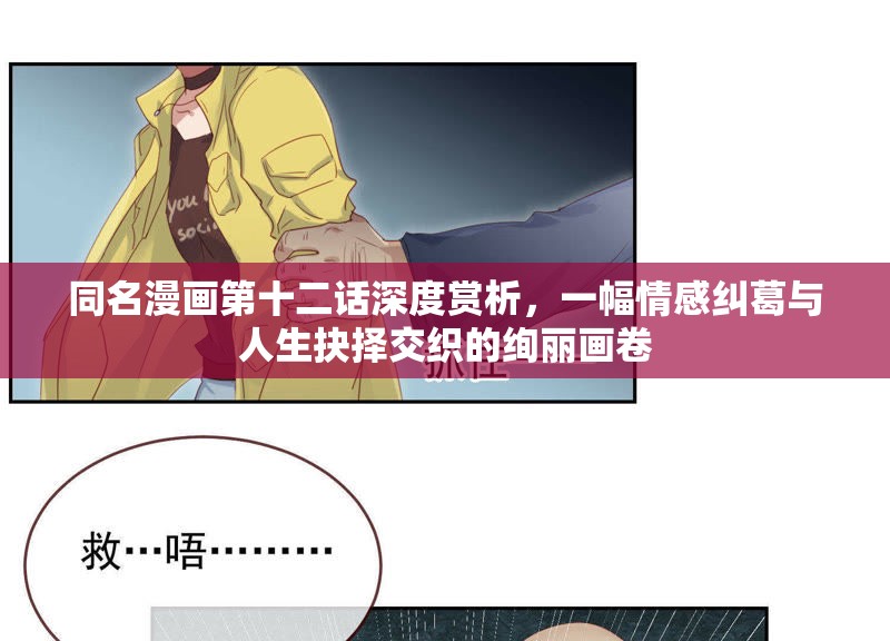 同名漫画第十二话深度赏析，一幅情感纠葛与人生抉择交织的绚丽画卷