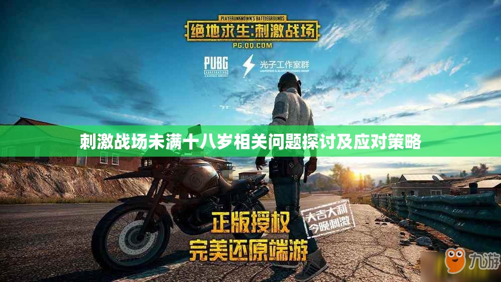 刺激战场未满十八岁相关问题探讨及应对策略