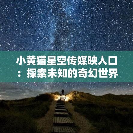 小黄猫星空传媒映人口：探索未知的奇幻世界
