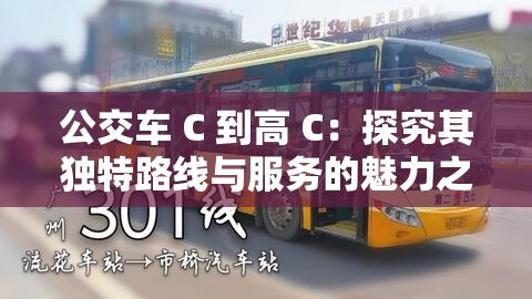 公交车 C 到高 C：探究其独特路线与服务的魅力之旅