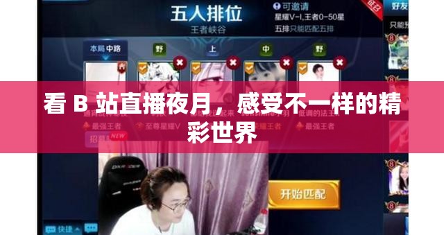 看 B 站直播夜月，感受不一样的精彩世界