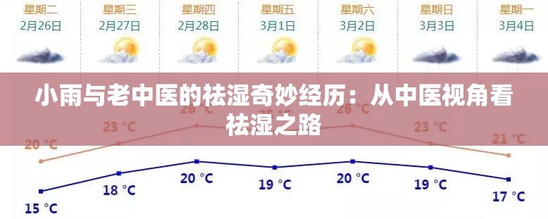 小雨与老中医的祛湿奇妙经历：从中医视角看祛湿之路