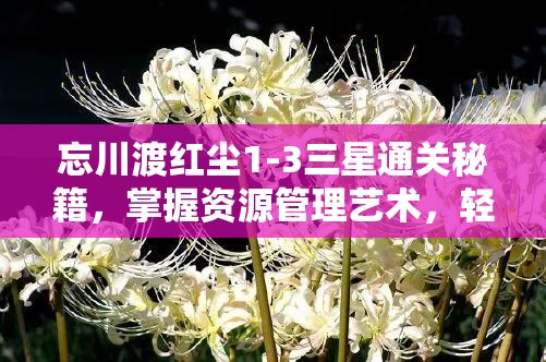 忘川渡红尘1-3三星通关秘籍，掌握资源管理艺术，轻松闯关攻略视频