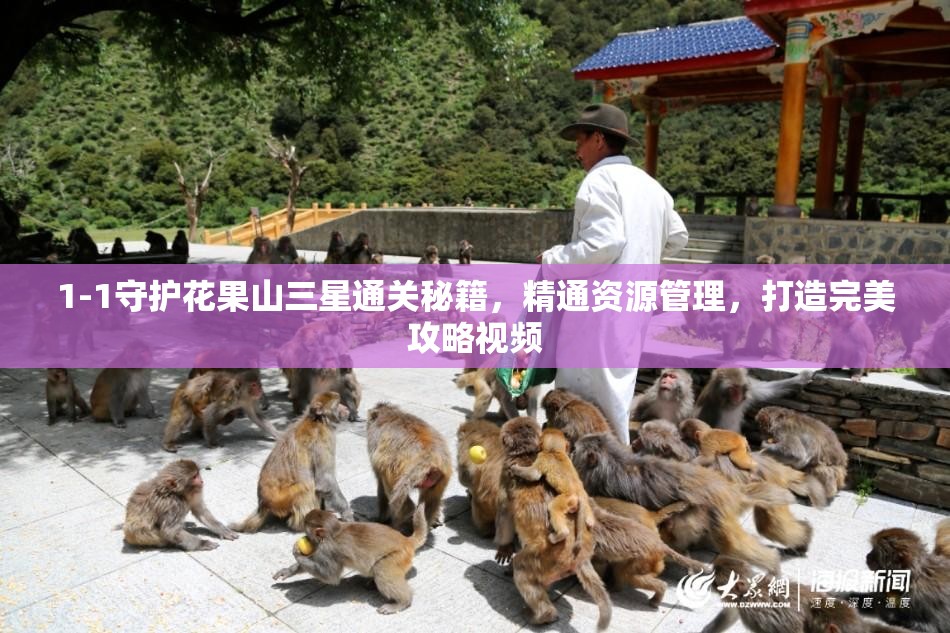 1-1守护花果山三星通关秘籍，精通资源管理，打造完美攻略视频