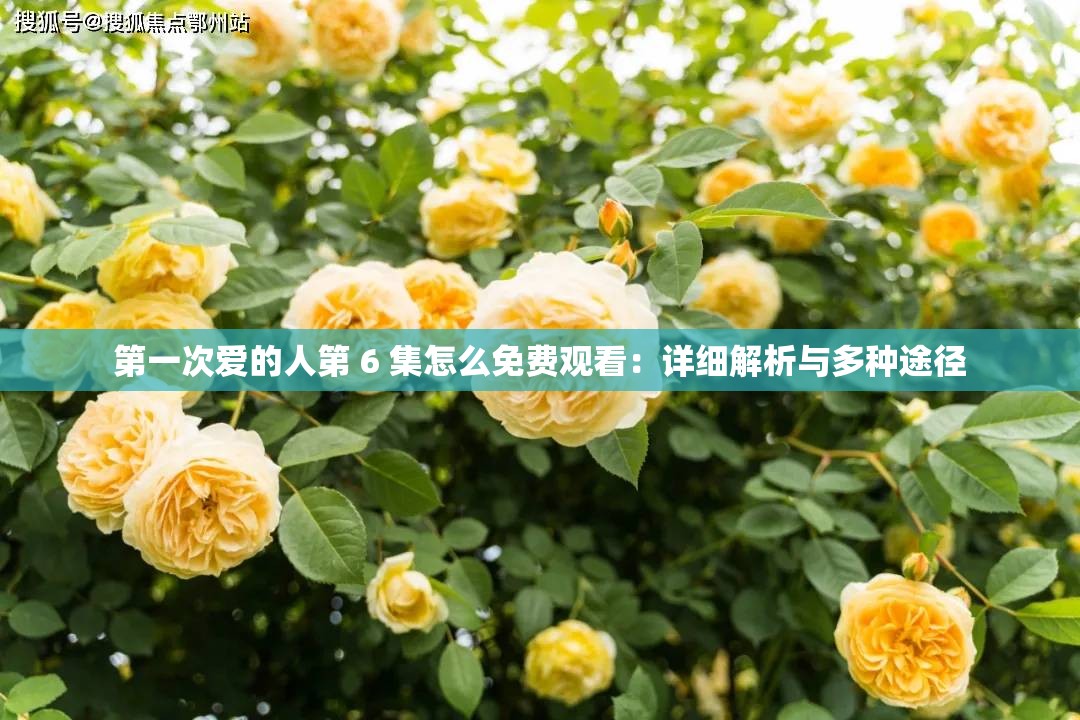 第一次爱的人第 6 集怎么免费观看：详细解析与多种途径