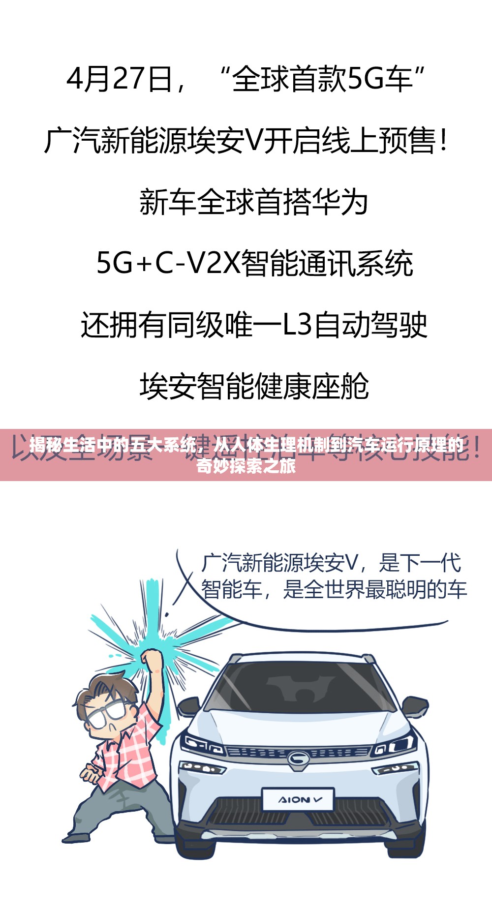 揭秘生活中的五大系统，从人体生理机制到汽车运行原理的奇妙探索之旅