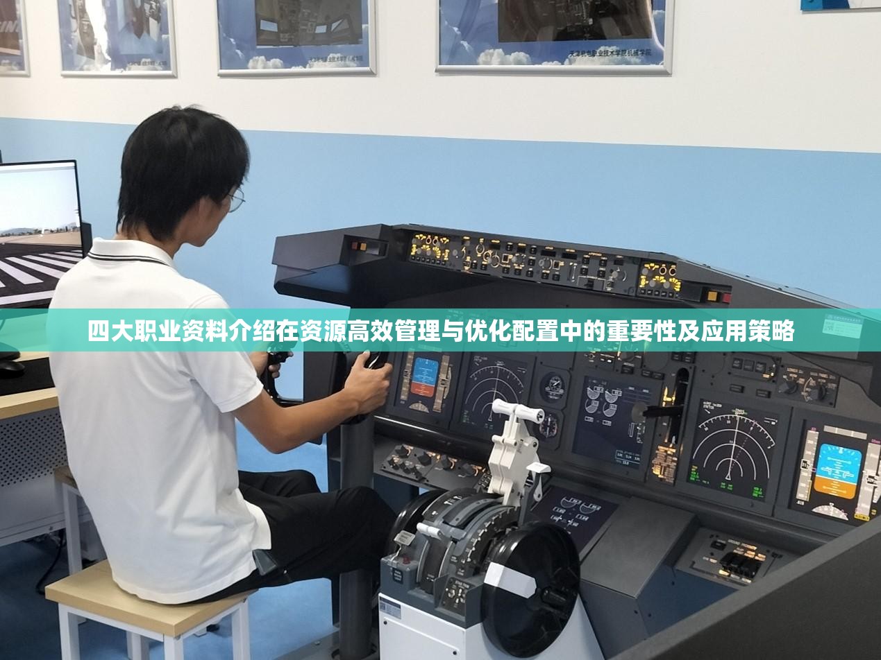 四大职业资料介绍在资源高效管理与优化配置中的重要性及应用策略