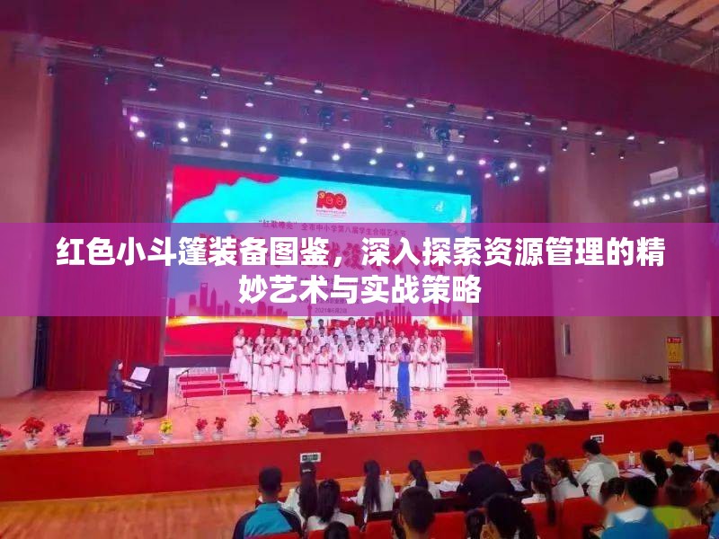 红色小斗篷装备图鉴，深入探索资源管理的精妙艺术与实战策略