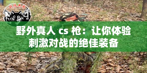 野外真人 cs 枪：让你体验刺激对战的绝佳装备