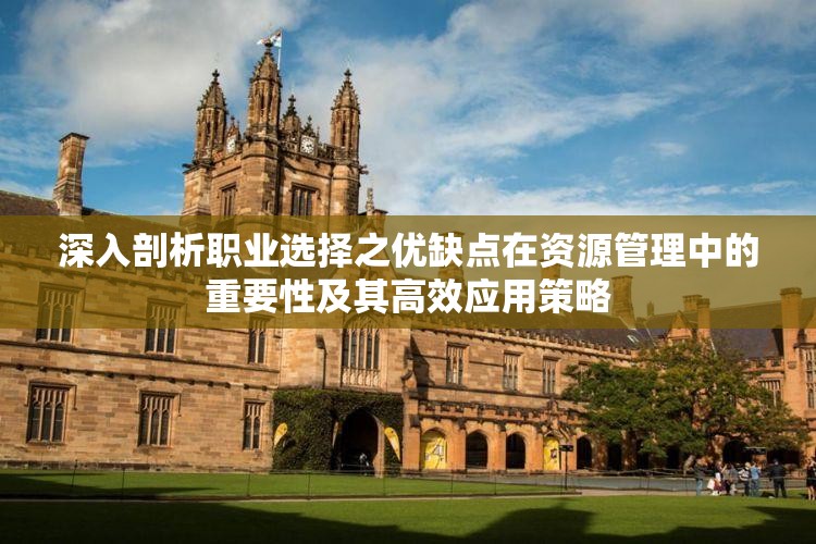 深入剖析职业选择之优缺点在资源管理中的重要性及其高效应用策略