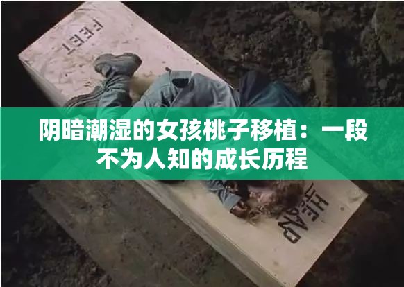 阴暗潮湿的女孩桃子移植：一段不为人知的成长历程