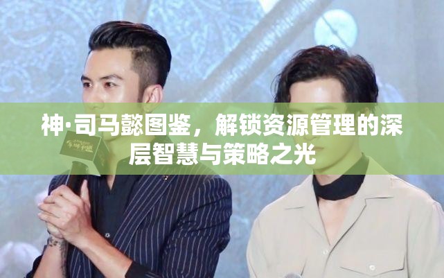 神·司马懿图鉴，解锁资源管理的深层智慧与策略之光