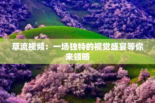 草流视频：一场独特的视觉盛宴等你来领略