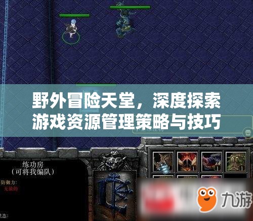 野外冒险天堂，深度探索游戏资源管理策略与技巧